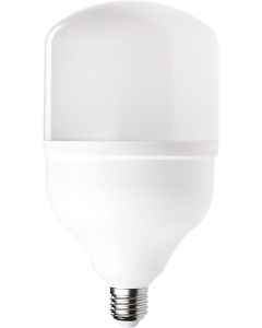 Garza Bombilla Led globo Luz fría LED T100 E27/30W